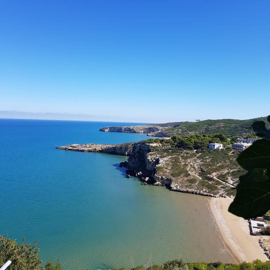 Apartmán Casa De Sio Bilocale Peschici Exteriér fotografie