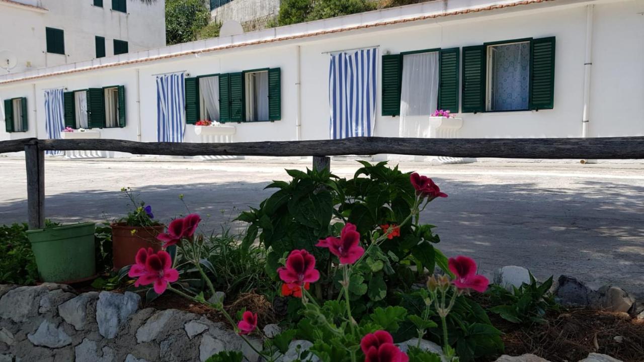 Apartmán Casa De Sio Bilocale Peschici Exteriér fotografie